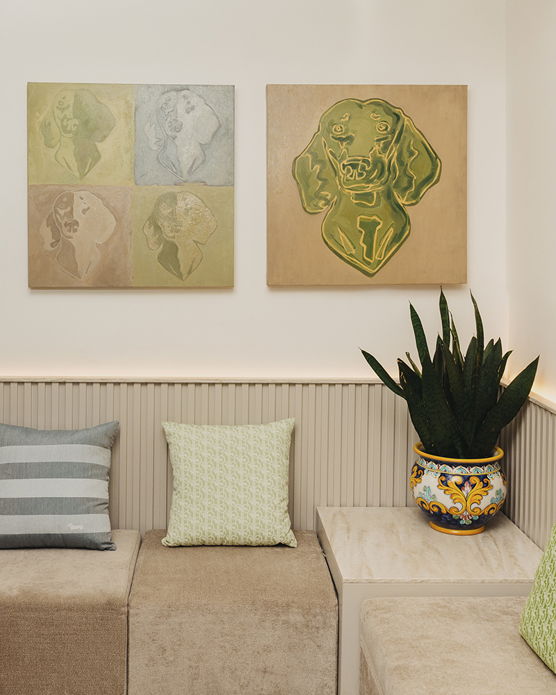 Interior con cojines, plantas y cuadros decorativos en Capri.