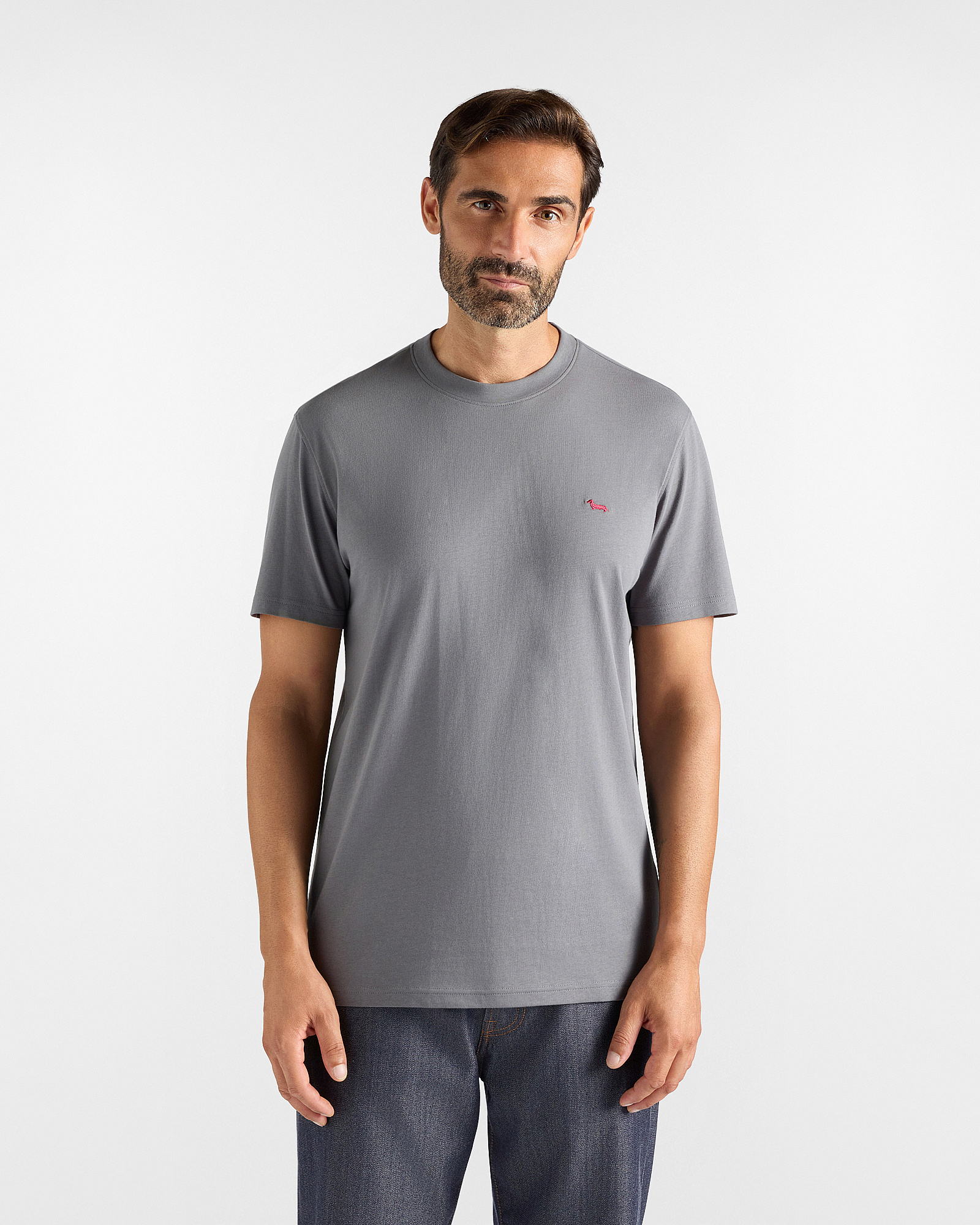 Men's regular-fit gray T-shirt in 100% pure cotton