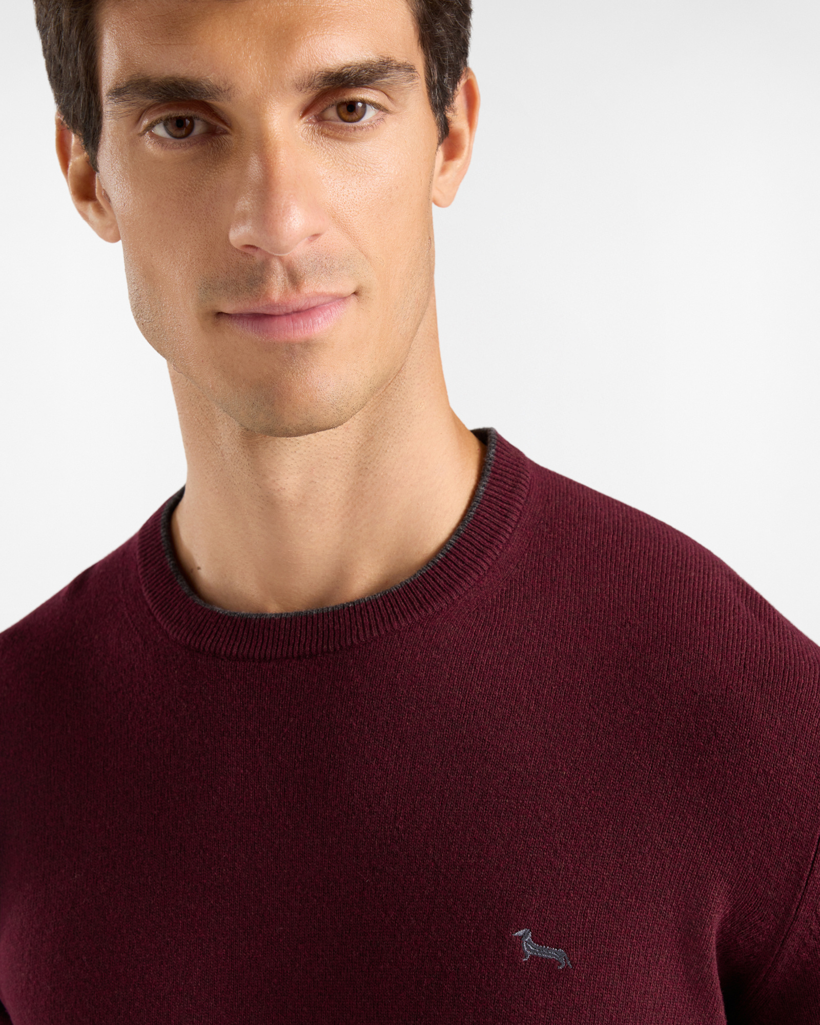 Men's crewneck sweater with contrasting stripe in a gray wool and cashmere blend with regular fit, BORDEAUX, large