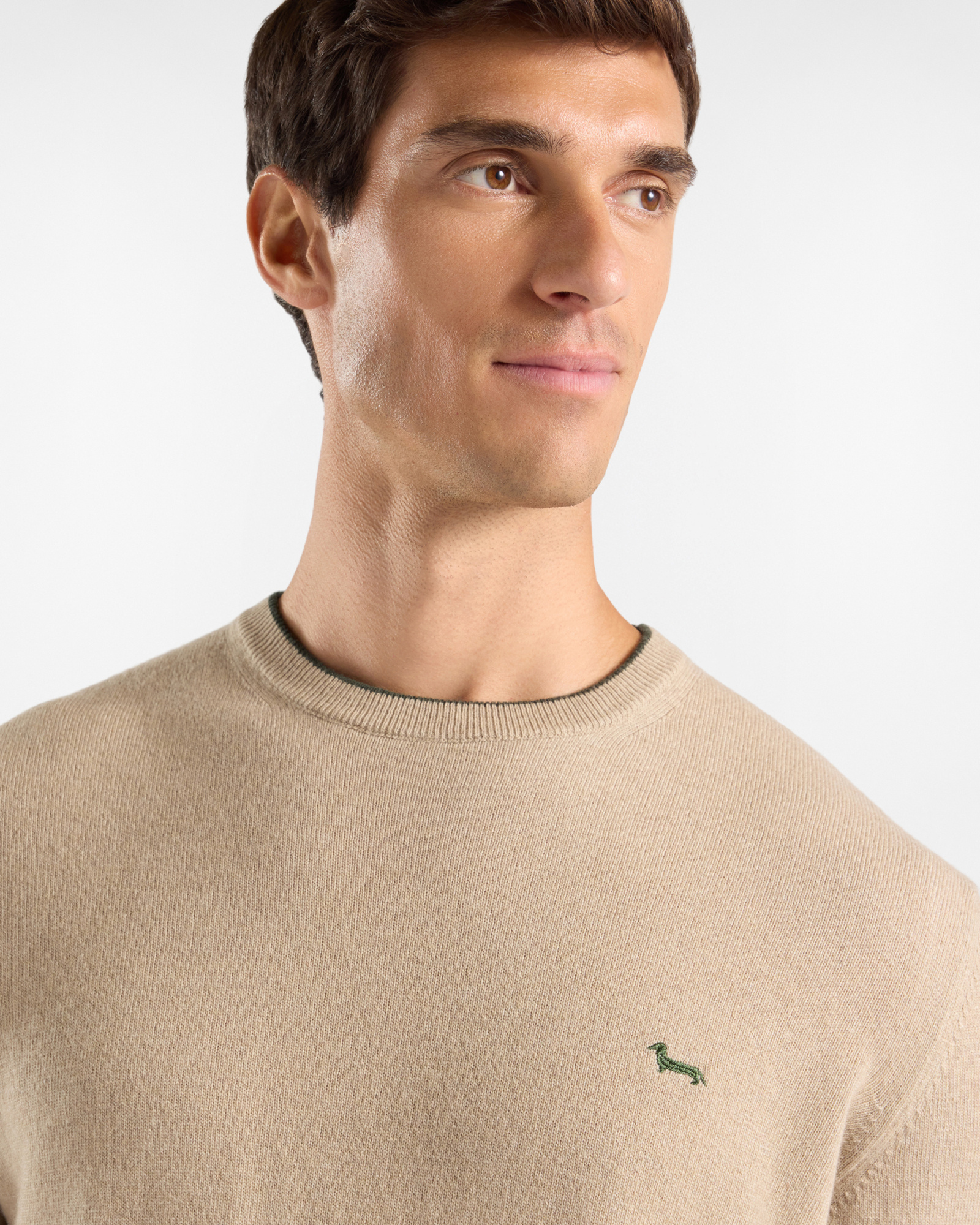 Herrenpullover mit Rundhalsausschnitt und Kontraststreifen aus Woll-Kaschmir-Mischgewebe in Grau mit regul&auml;rer Passform, BEIGE, large