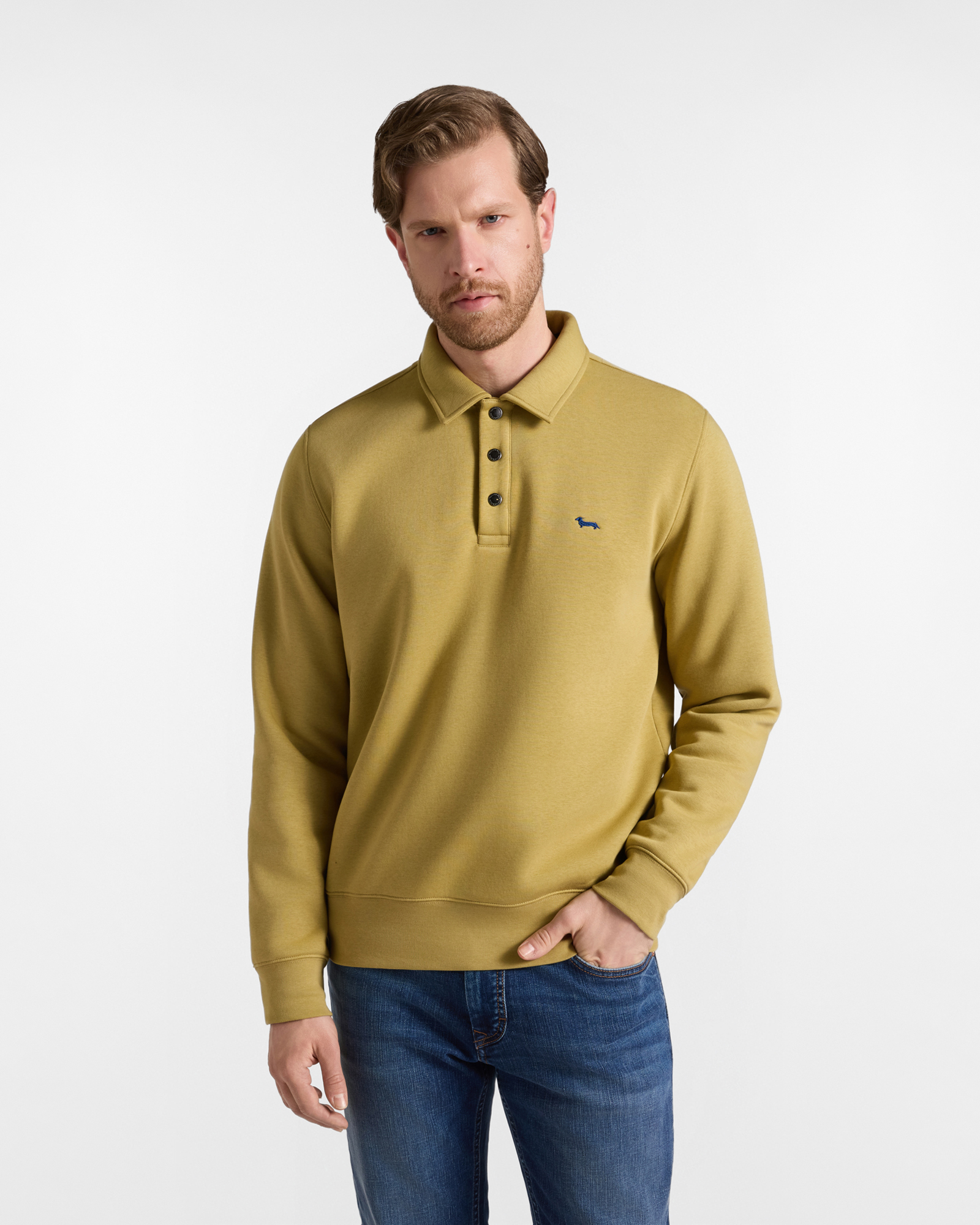 Felpa Uomo con colletto polo marrone Regular Fit