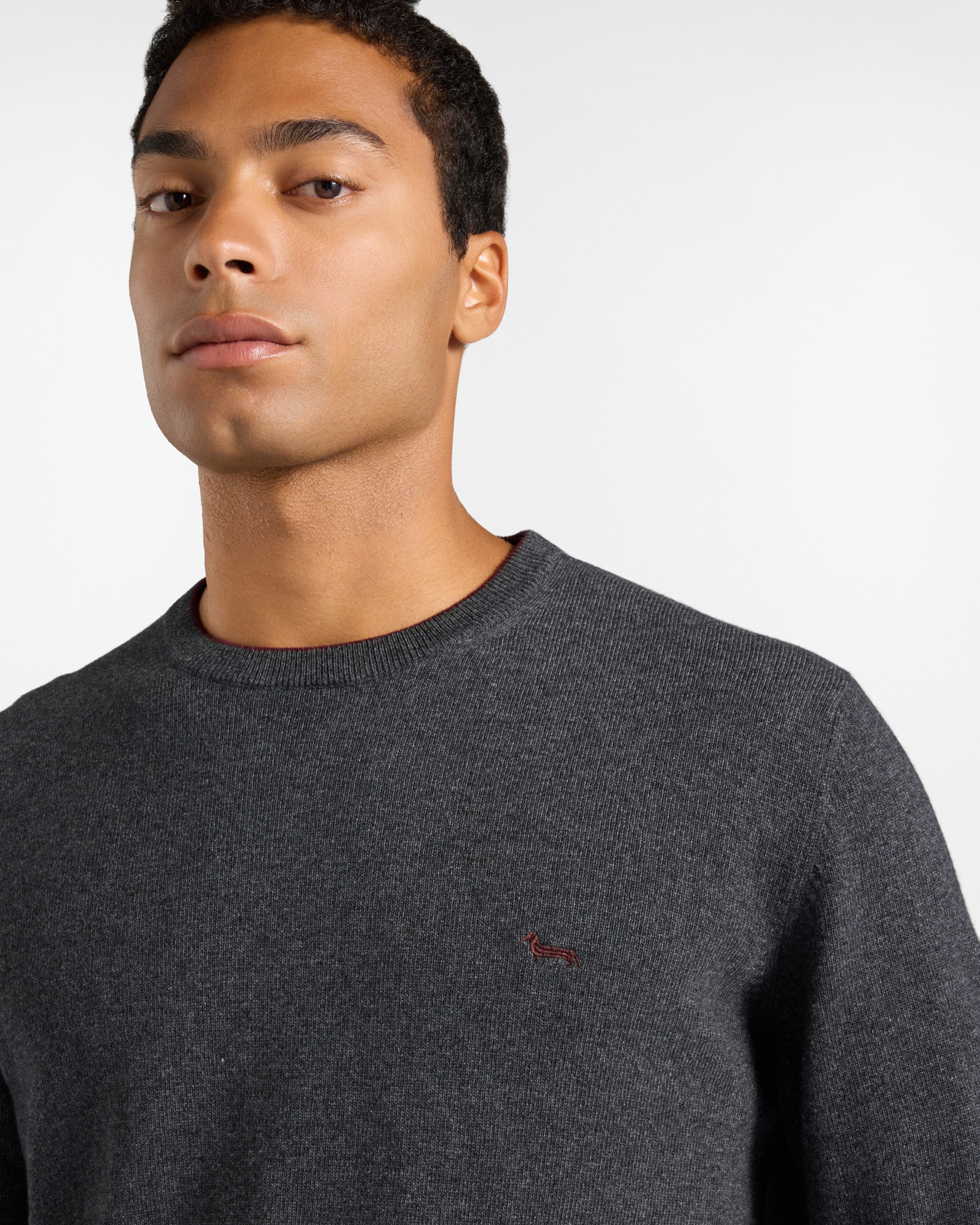 Maglia Uomo girocollo con riga contrasto in misto lana e cashmere grigio Regular Fit, GRIGIO, large