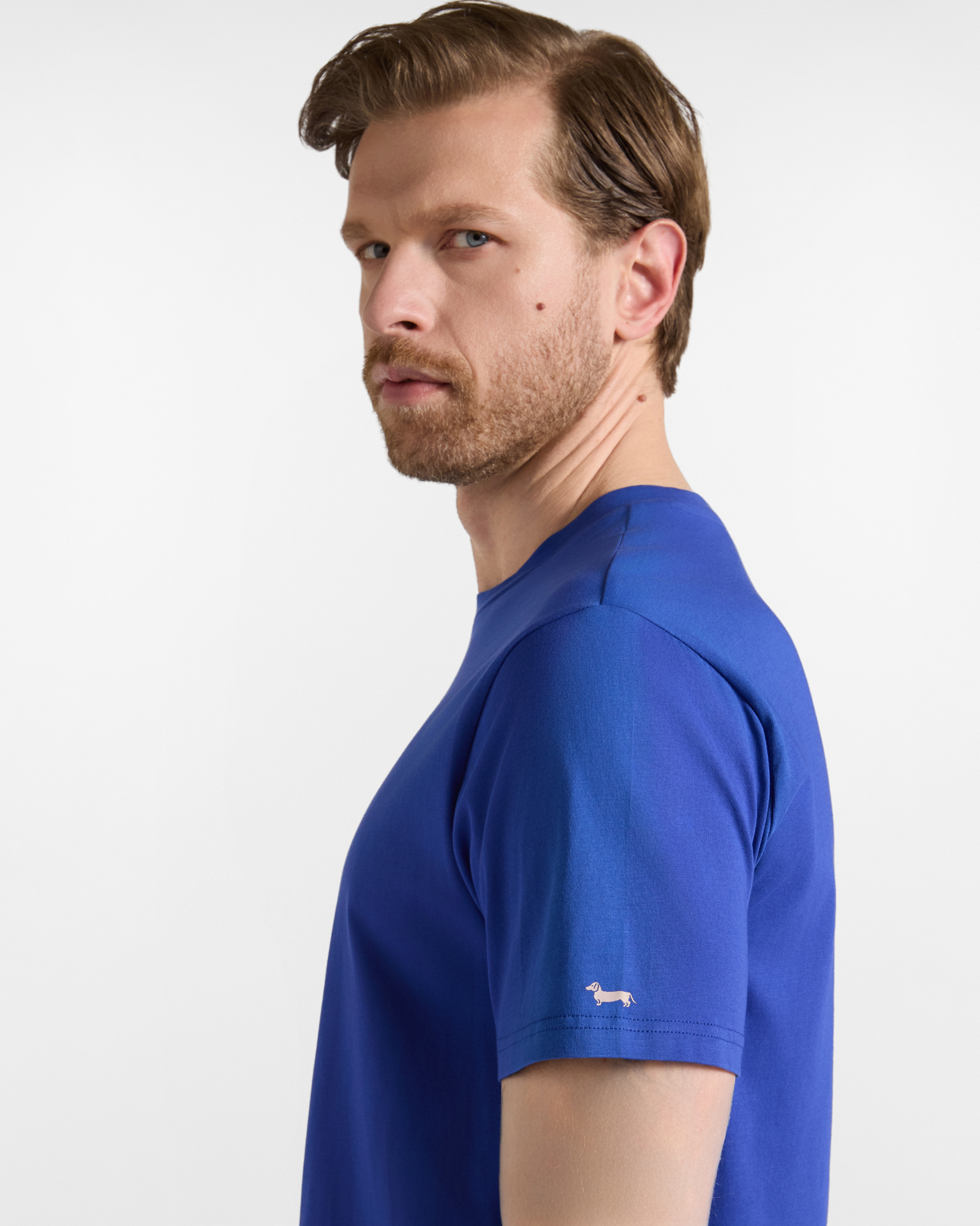 T-shirt Uomo in 100% puro cotone Regular Fit, BLU ELETTRICO, large