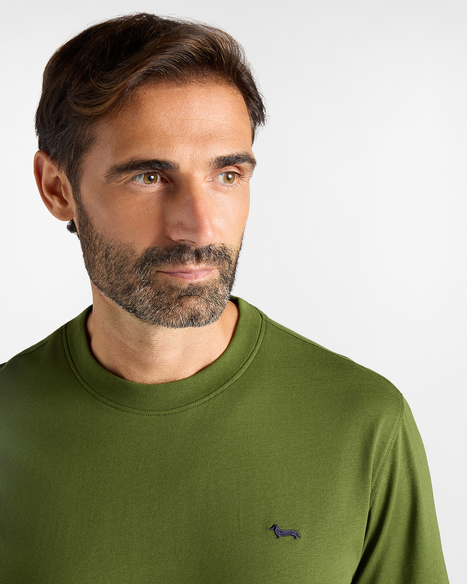 T-shirt Uomo in 100% puro cotone Regular Fit, VERDE SPORT, large
