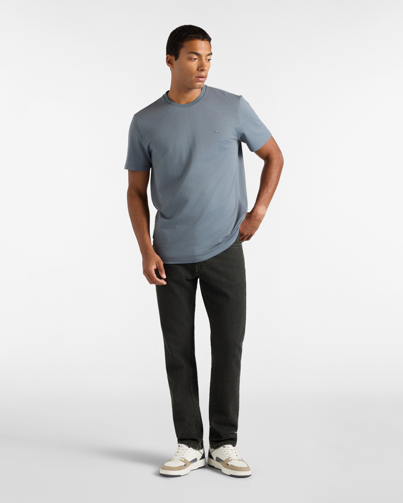 T-shirt Uomo in misto cotone e seta Regular Fit, GRIGIO, large