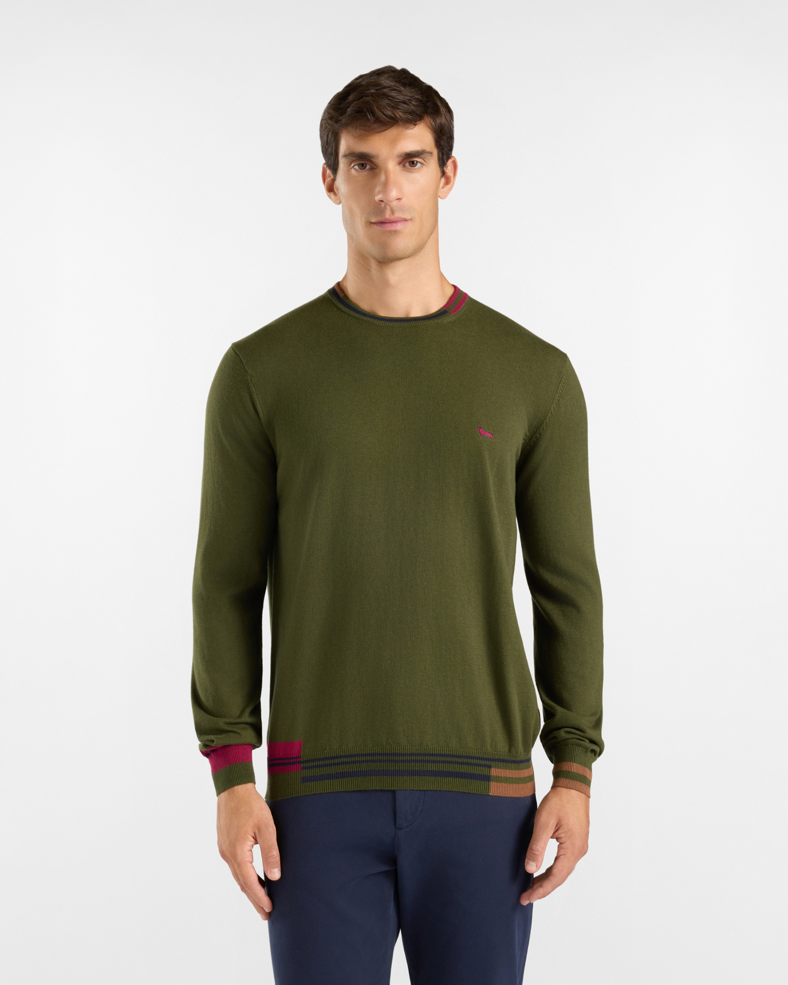 Men's regular fit sweater in a green wool and cotton blend