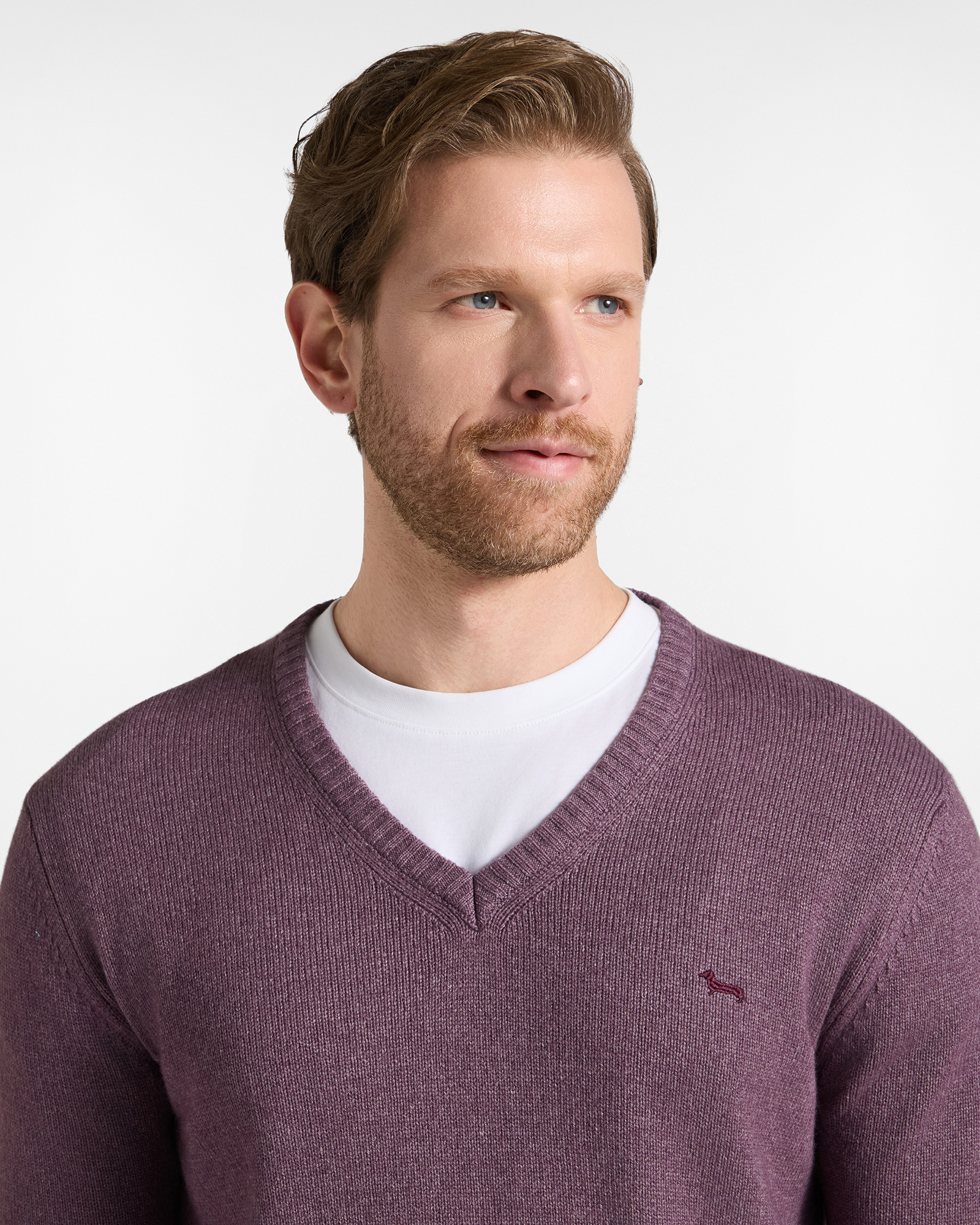 Men's Made in Italy regular fit V-neck sweater in wool blend, DARK PURPLE, large