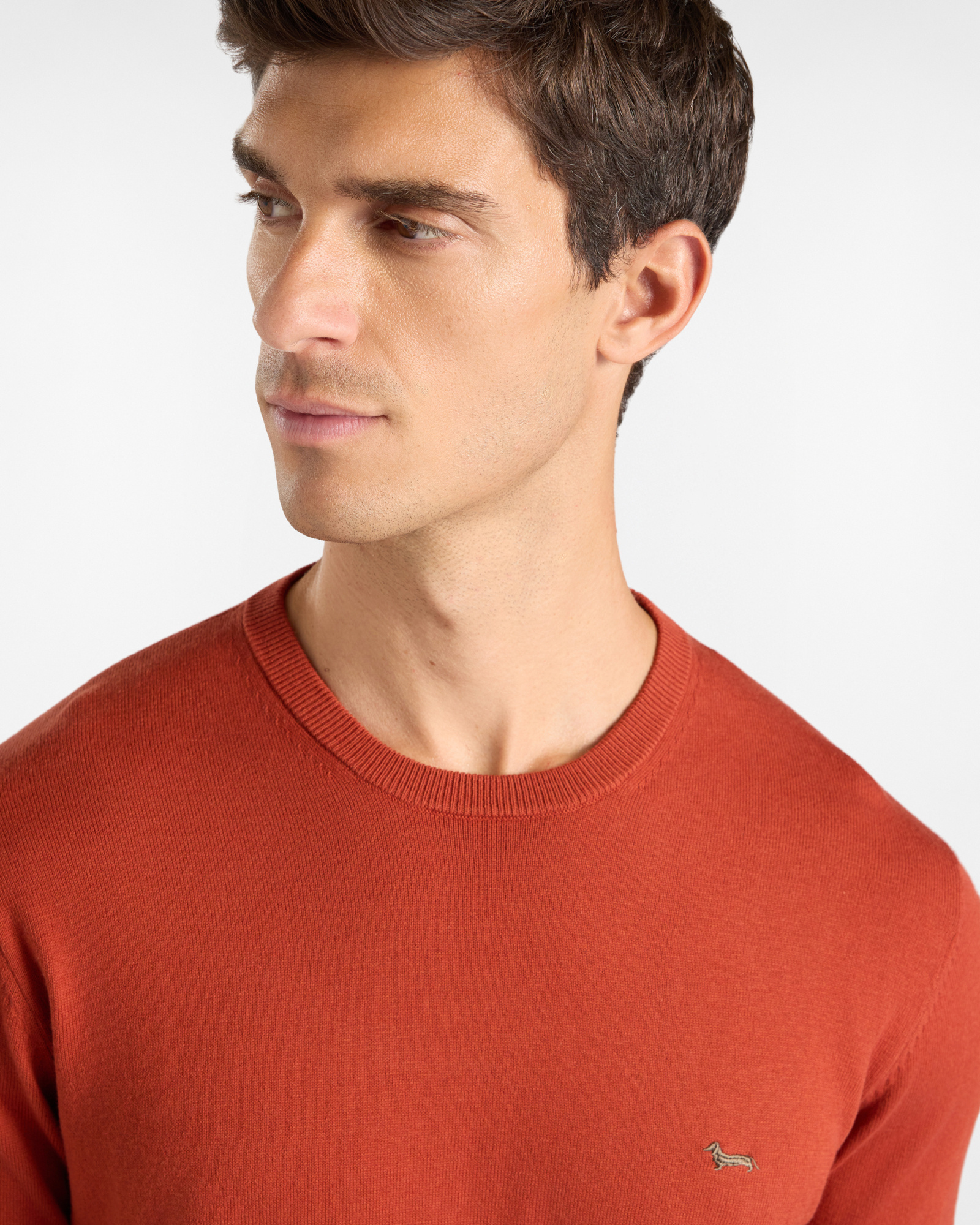Men's regular fit sweater in a  wool and cotton blend, BRICK RED, large