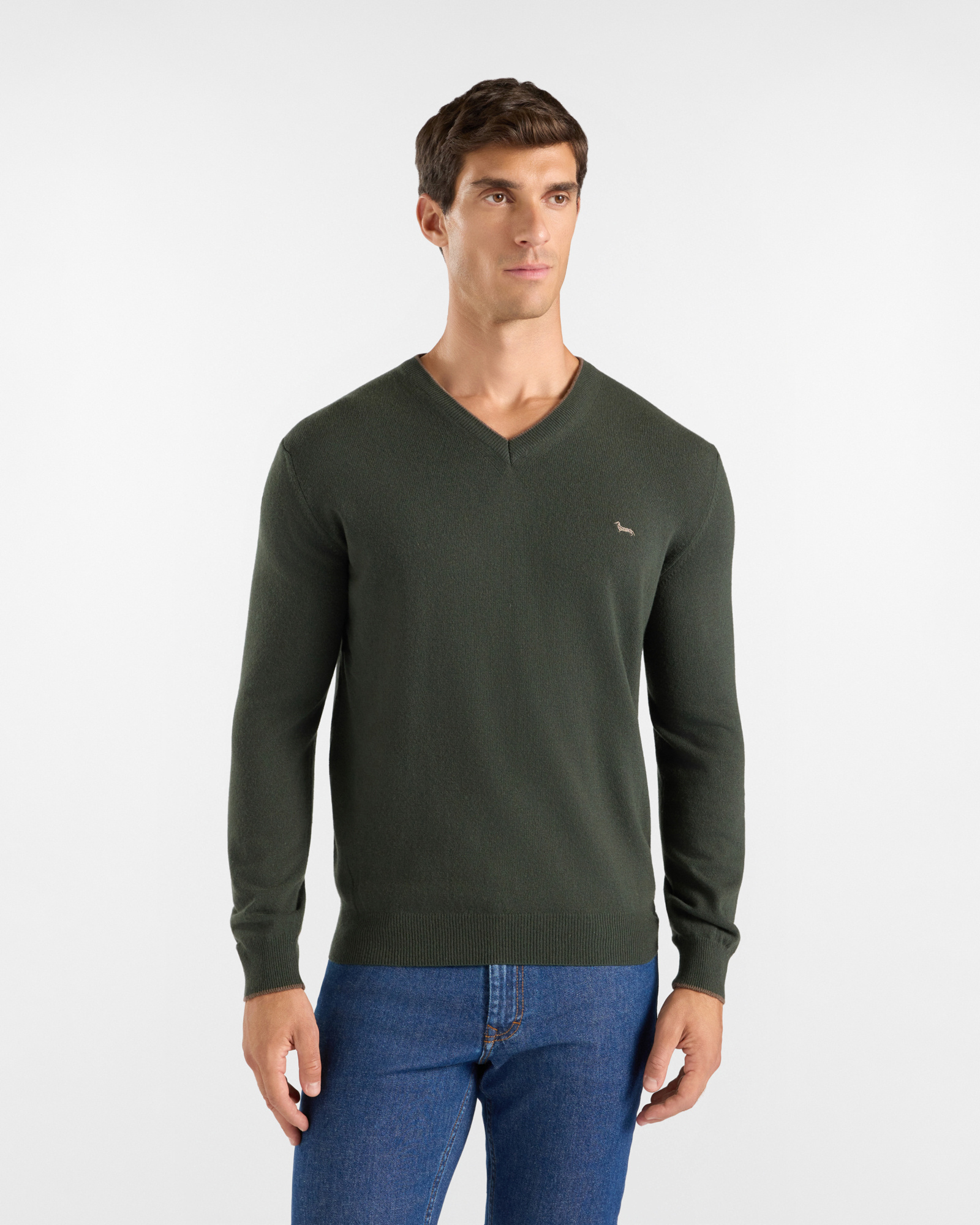 Maglia Uomo con scollo a V in misto lana e cashmere verde Regular Fit
