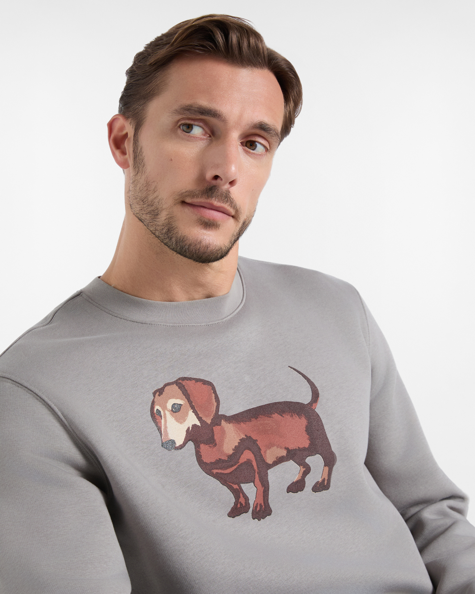 Men&rsquo;s brushed crew-neck sweatshirt with large dachshund print from the Blaine capsule collection, GRAY, large