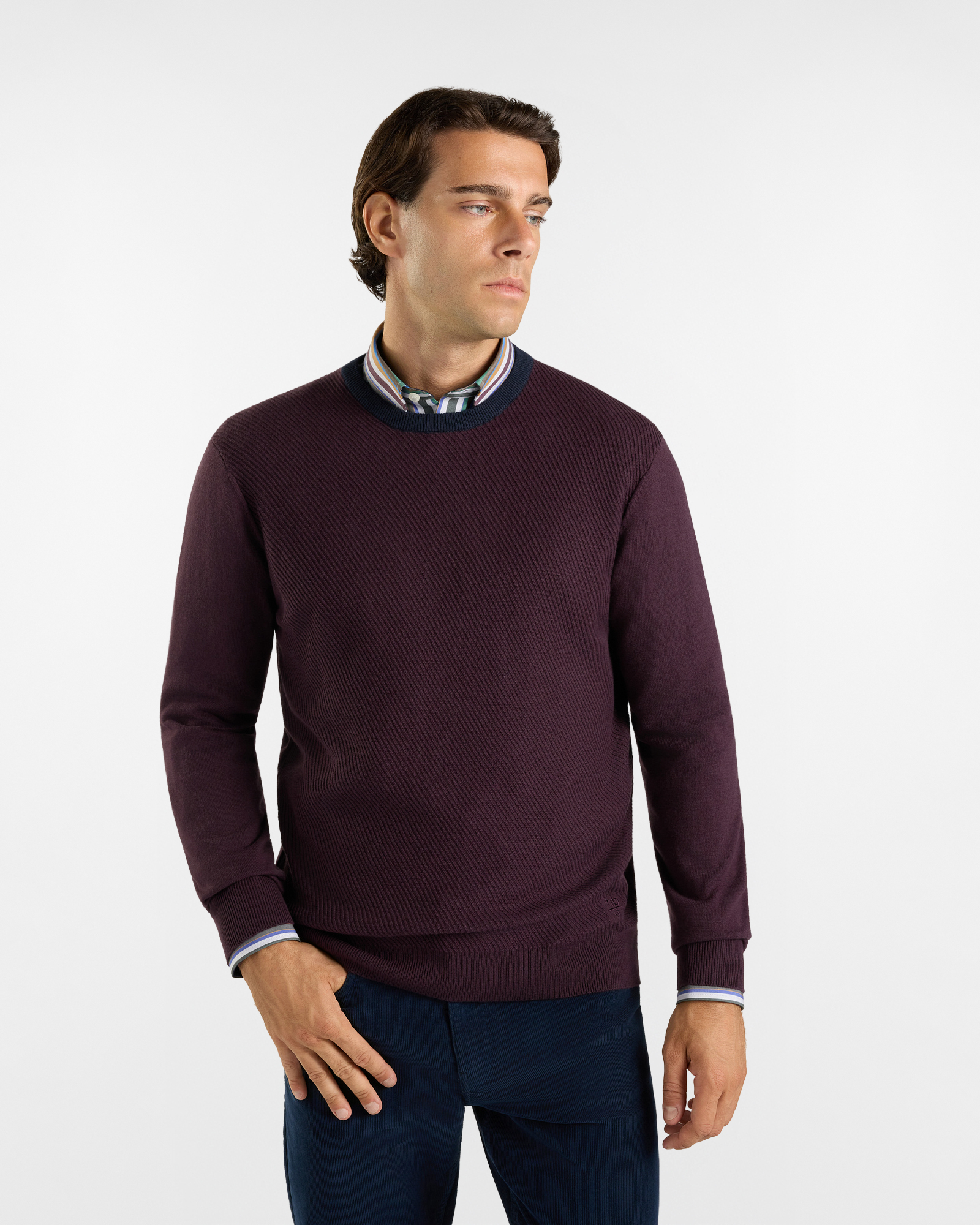 HBJ Men&rsquo;s Crew-Neck Jumper with Contrast Collar in Plum-Coloured Wool and Cashmere Blend