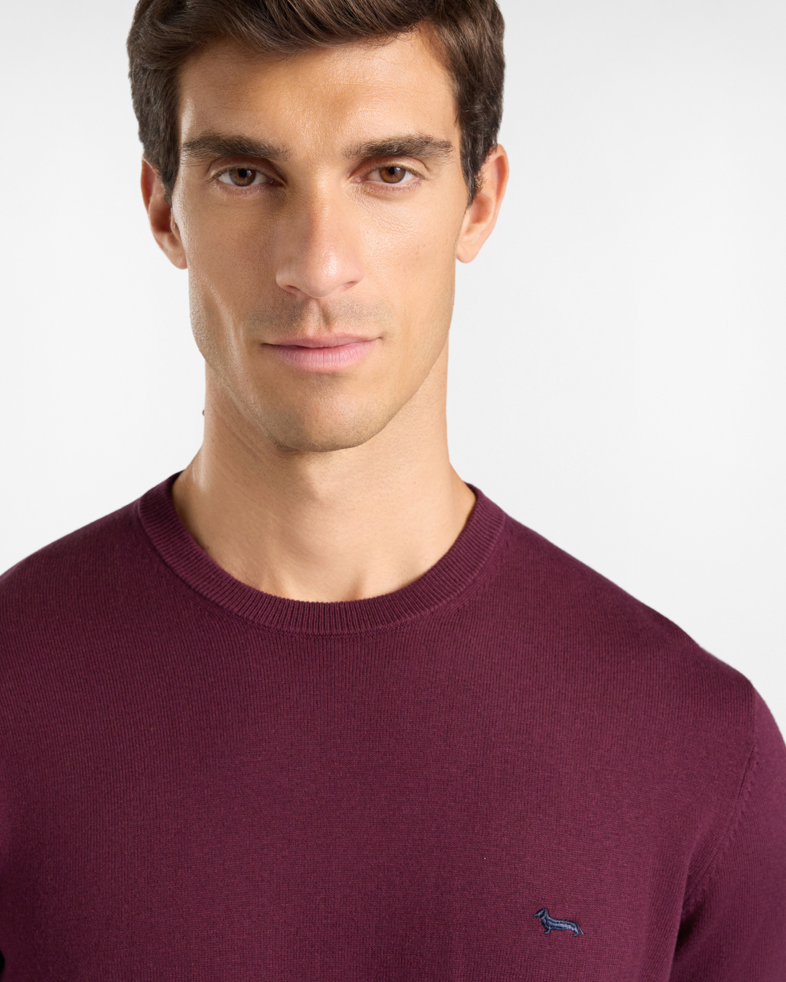 Maglia Uomo in misto lana e cotone  Regular Fit, VIOLA SCURO, large