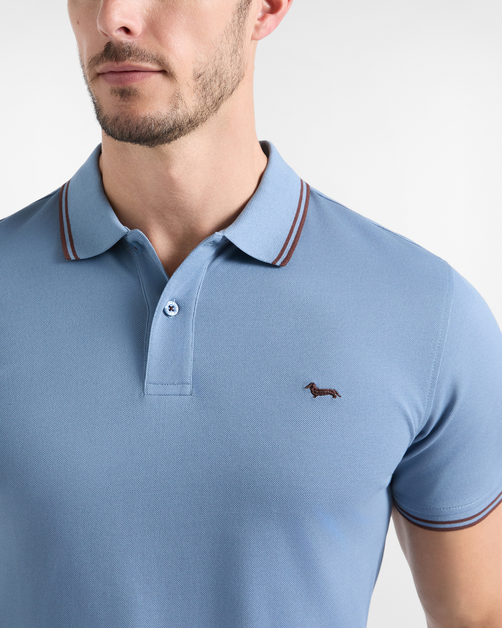 Polo da uomo manica corta in piquet di 100% puro cotone, AZZURRO, large