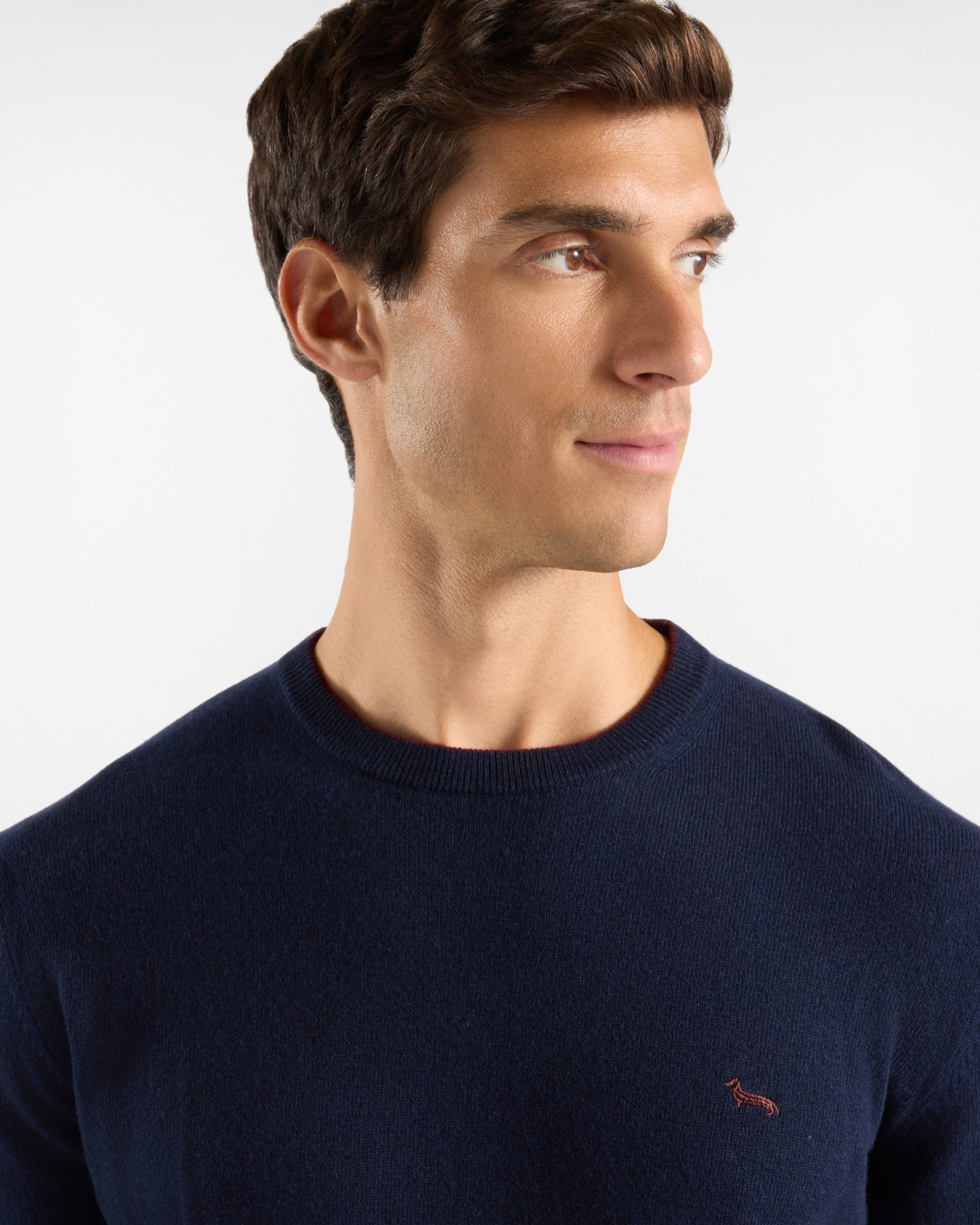 Men's crewneck sweater with contrasting stripe in a gray wool and cashmere blend with regular fit, NAVY BLUE, large