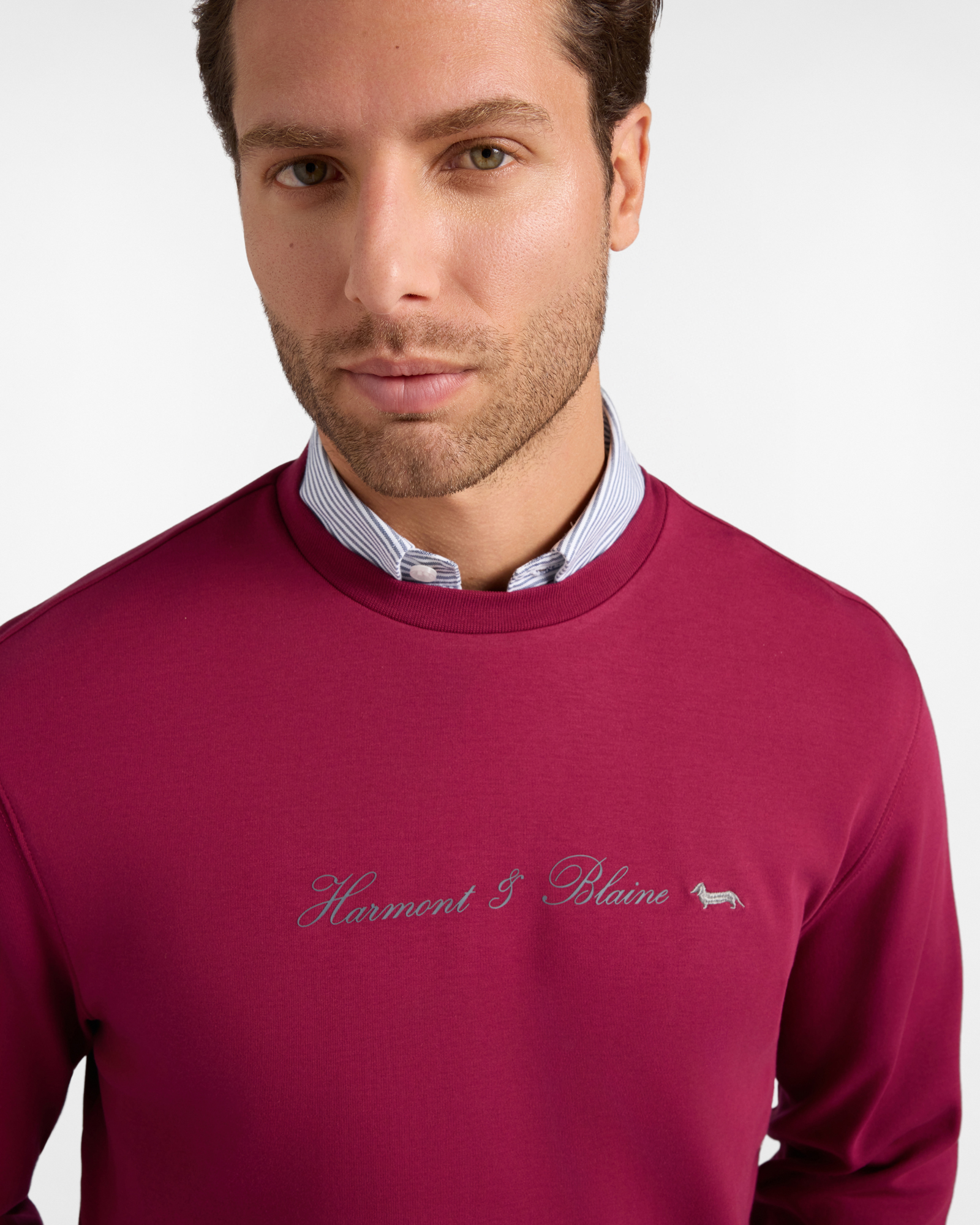 Men's pure cotton crewneck sweatshirt with 3D logo, INDIAN ROSE, large