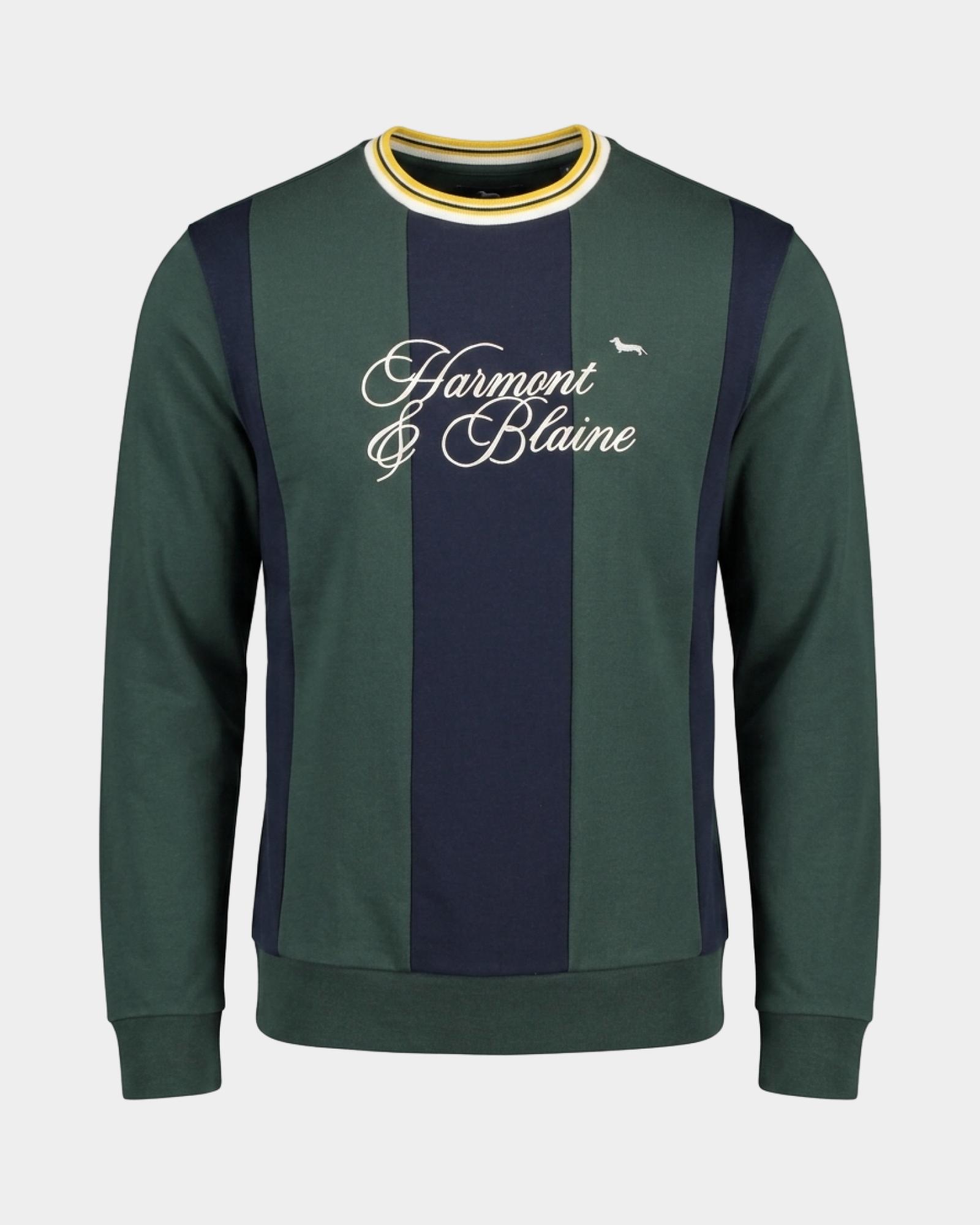 Sudadera para hombre con cuello redondo verde con paneles a contraste, VERDE BOTELLA, large
