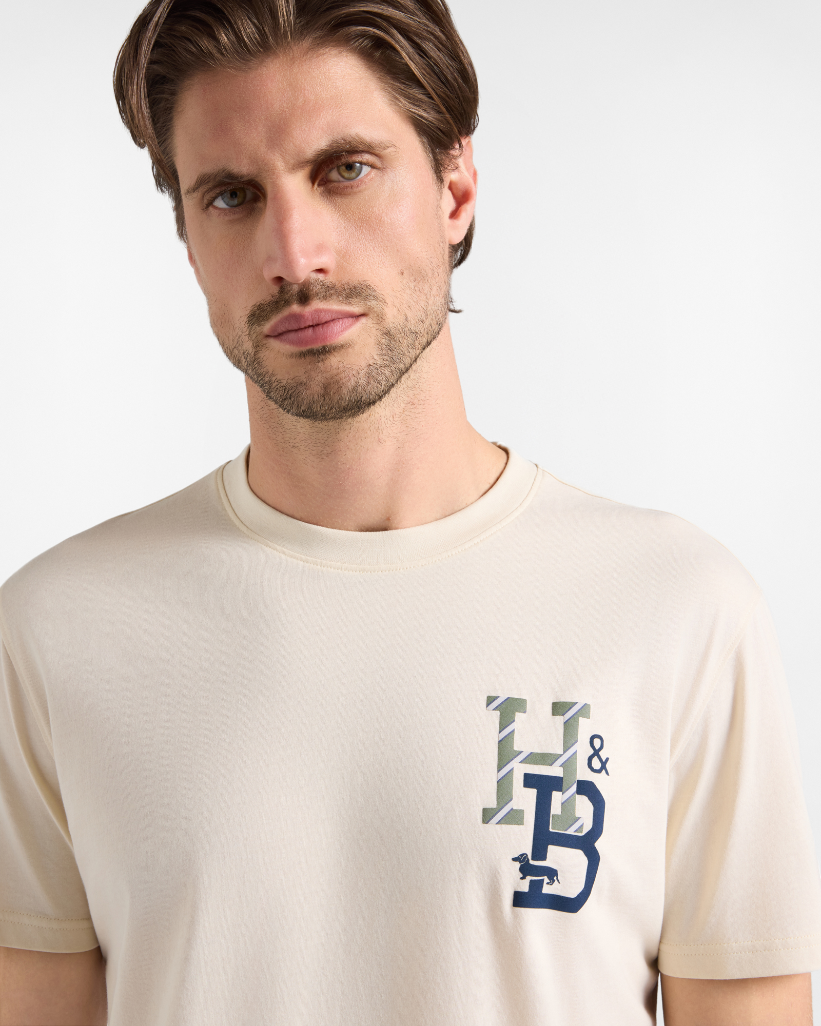 T-shirt Uomo in 100% puro cotone Regular Fit, TORTORA, large