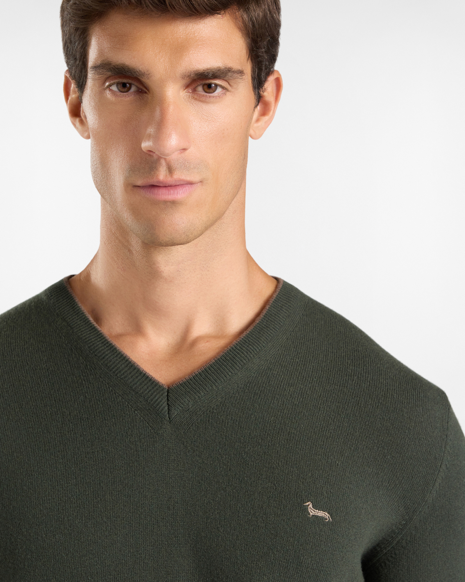 Men's regular fit V-neck sweater in a  wool and cashmere blend, SPORT GREEN, large