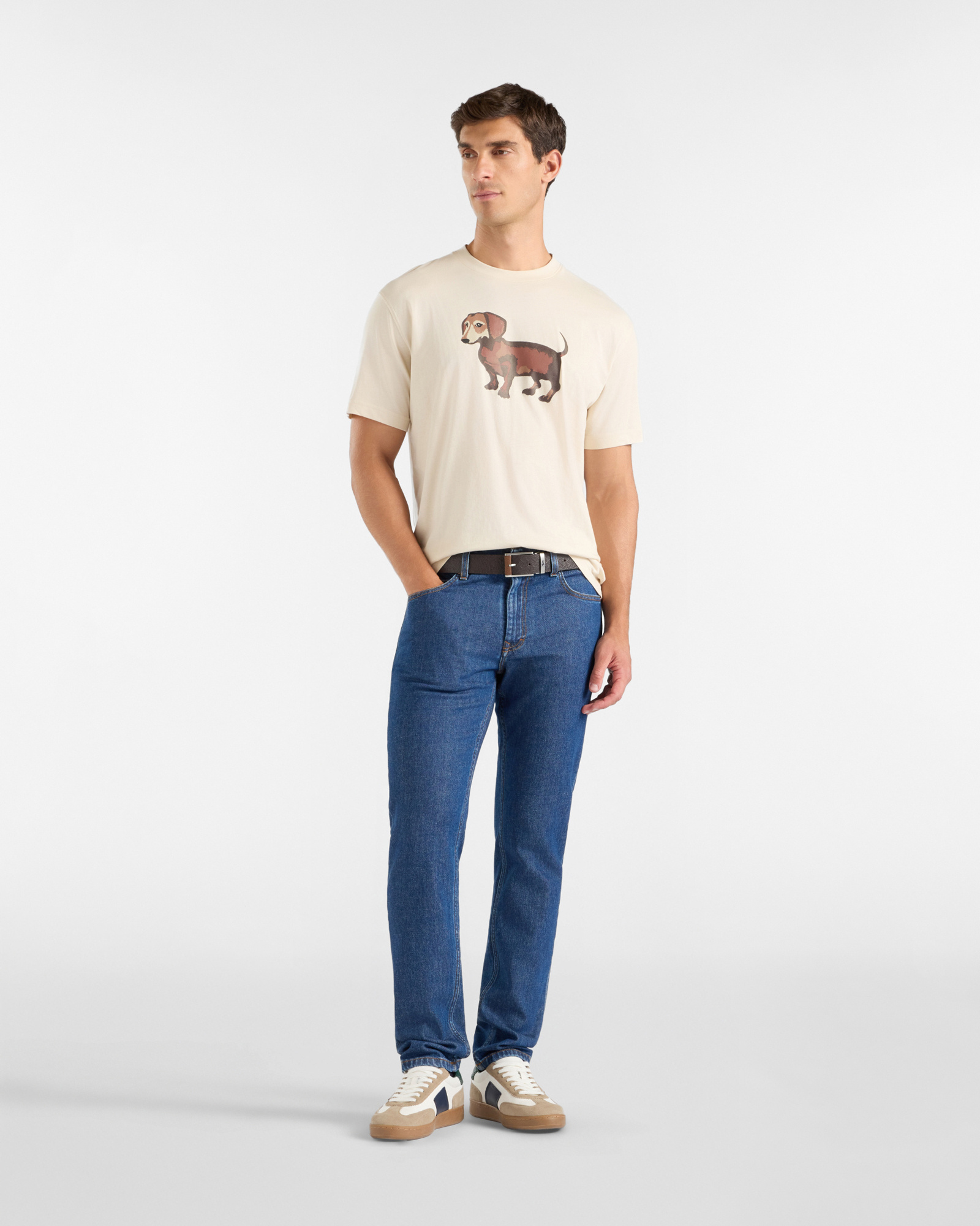 Men&rsquo;s Pure Cotton Jersey T-shirt with Watercolour-Effect Dachshund Print, TAUPE, large