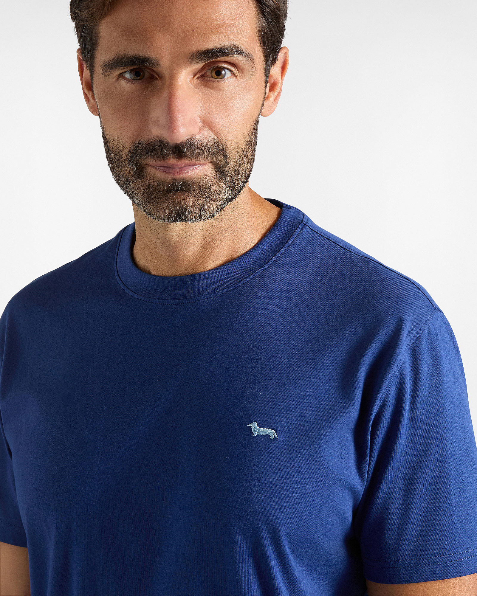 T-shirt Uomo in 100% puro cotone Regular Fit, BLU SPORT, large