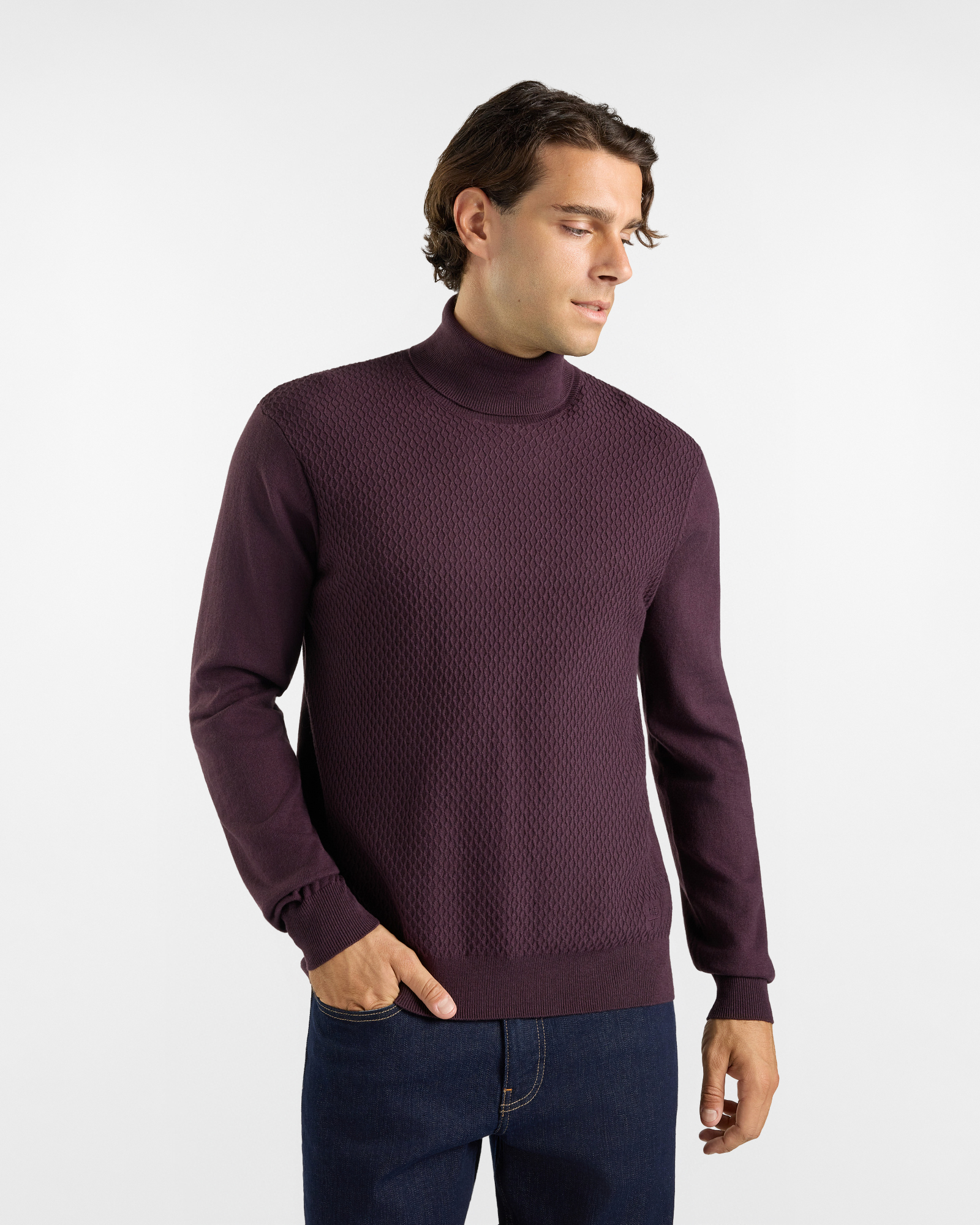 Men&rsquo;s HBJ Turtleneck in a plum-coloured wool and cashmere blend