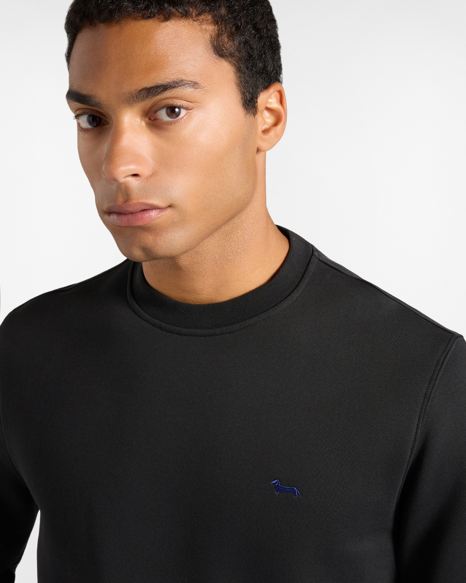 Sudadera para hombre con cuello redondo en felpa perchada de corte Regular, NEGRO, large