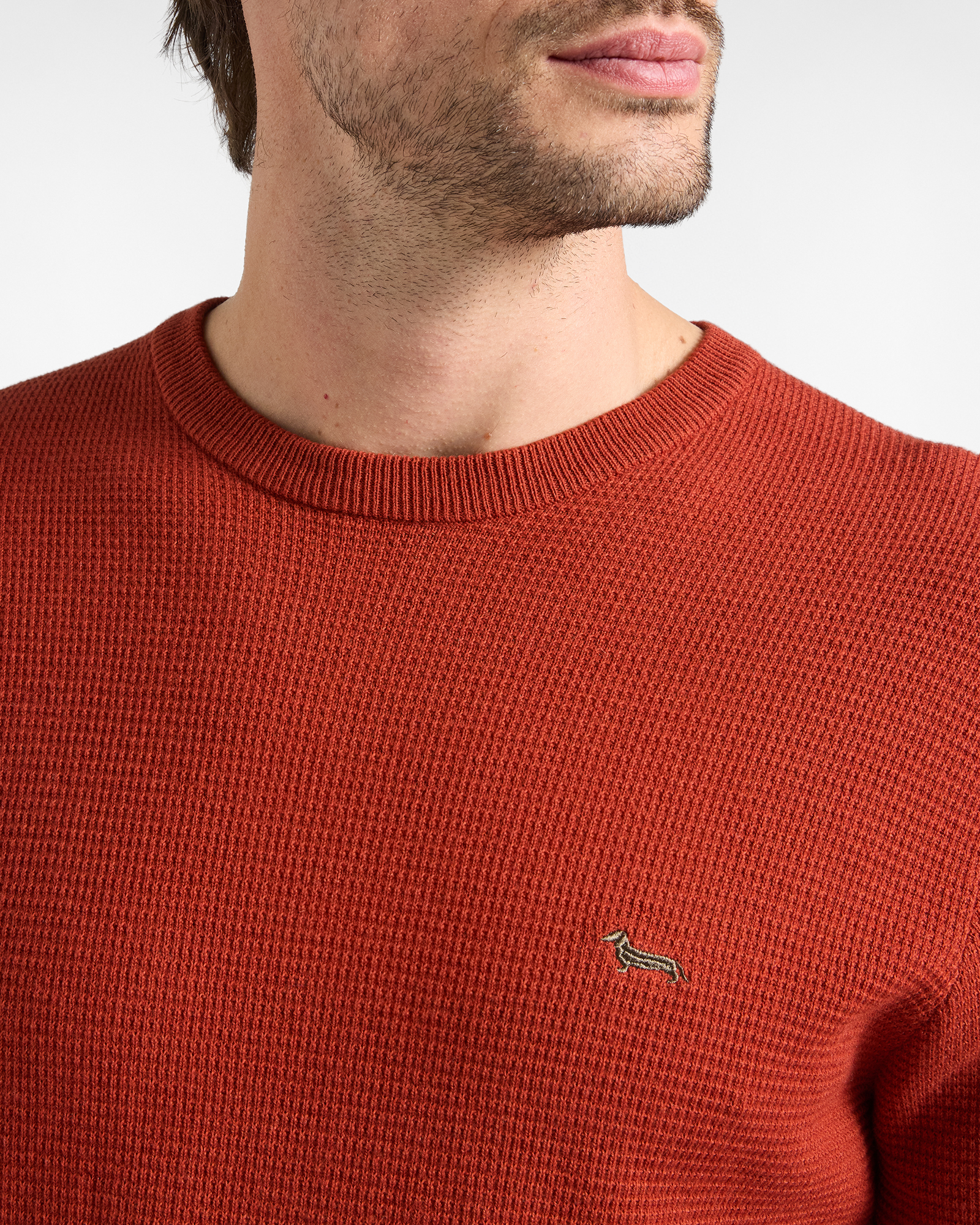Men's regular fit sweater in wool and cotton blend, BRICK RED, large