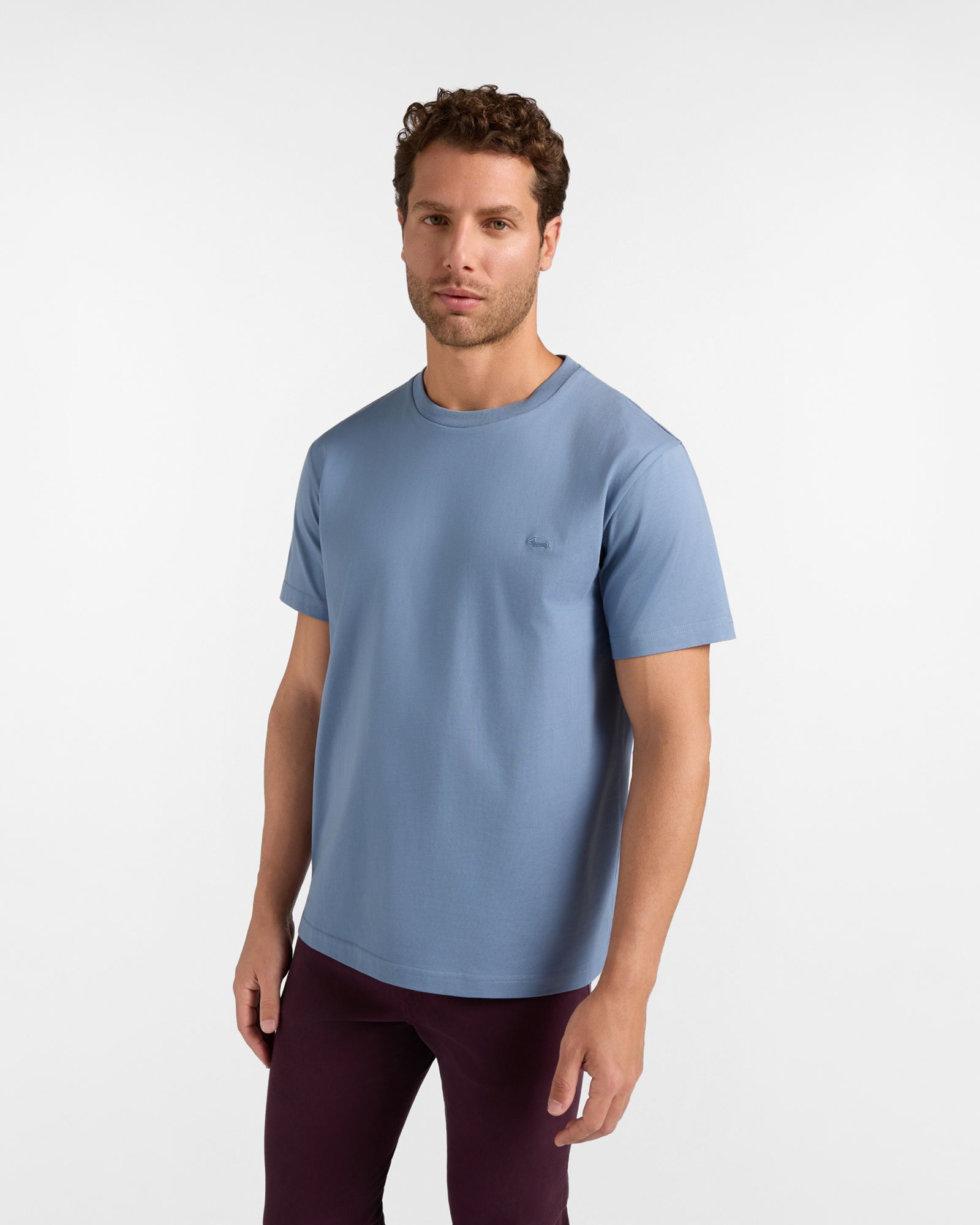 T-shirt Uomo in 100% puro cotone Relaxed Fit, AZZURRO, large