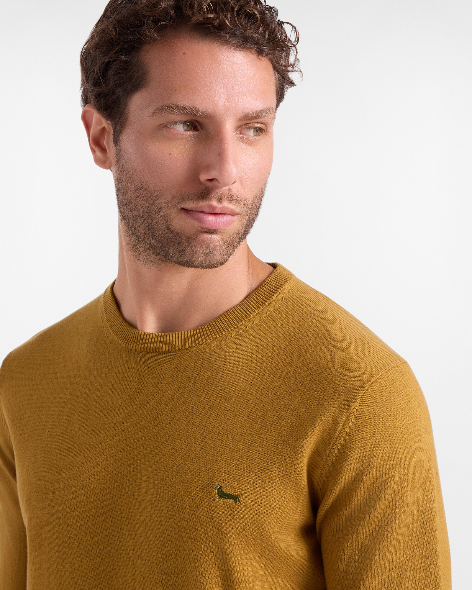 Men's regular fit sweater in a  wool and cotton blend, BROWN, large