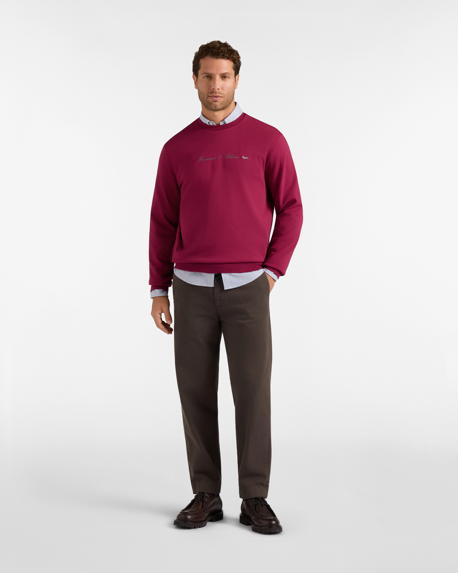 Men's pure cotton crewneck sweatshirt with 3D logo, INDIAN ROSE, large