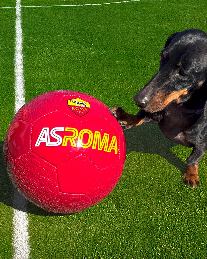Harmont & Blaine prosegue con orgoglio la sua partnership esclusiva con AS Roma Femminile, un club che incarna determinazione, talento e passione per il calcio.